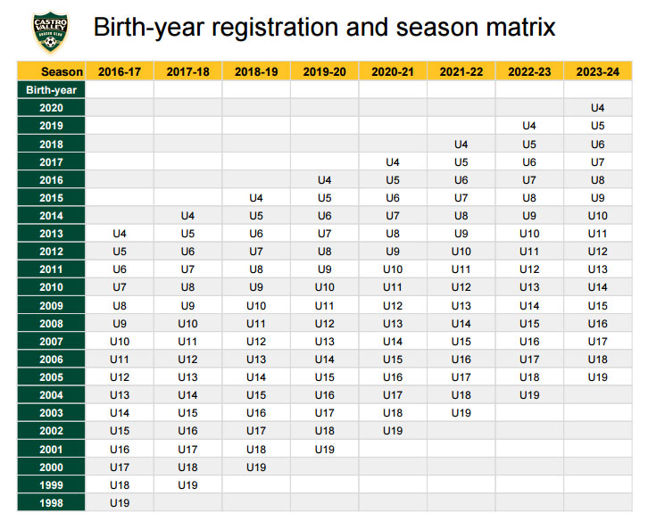 birth year matrix
